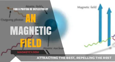 Can Magnetic Fields Deflect Photons? Exploring Light-Magnetism Interactions