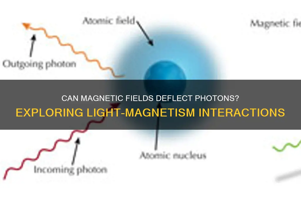 can a photon be deflected by an magnetic field
