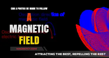 Can Photons Be Guided by Magnetic Fields? Exploring Light Manipulation