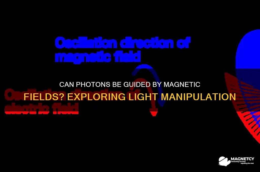 can a photon be made to follow a magnetic field