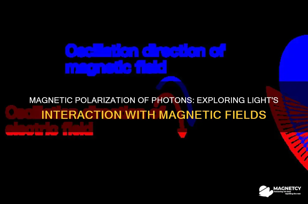 can a photon be magnetically polarized