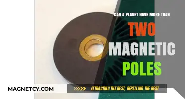 Exploring Complex Planetary Magnetism: Beyond the Two-Pole Paradigm