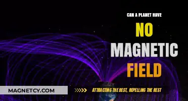 Can Planets Exist Without a Magnetic Field? Exploring Cosmic Possibilities