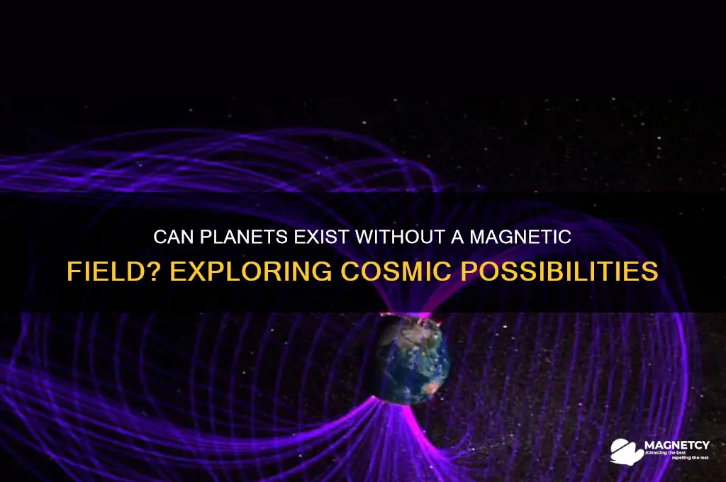 can a planet have no magnetic field