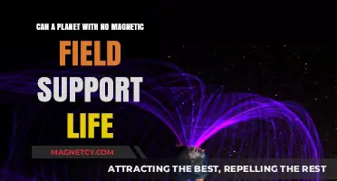 Life Without a Shield: Can Planets Survive Without Magnetic Fields?