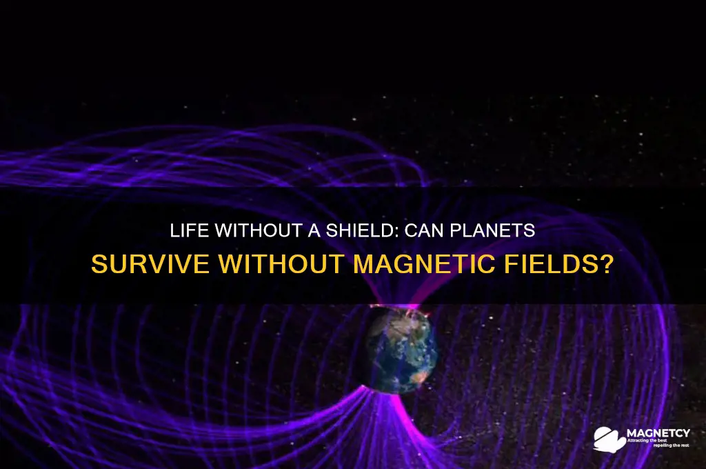 can a planet with no magnetic field support life