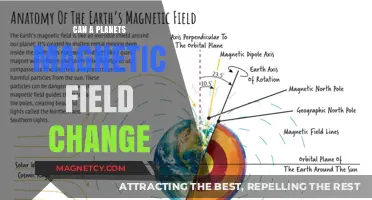 Can a Planet's Magnetic Field Change? Exploring Shifts and Causes