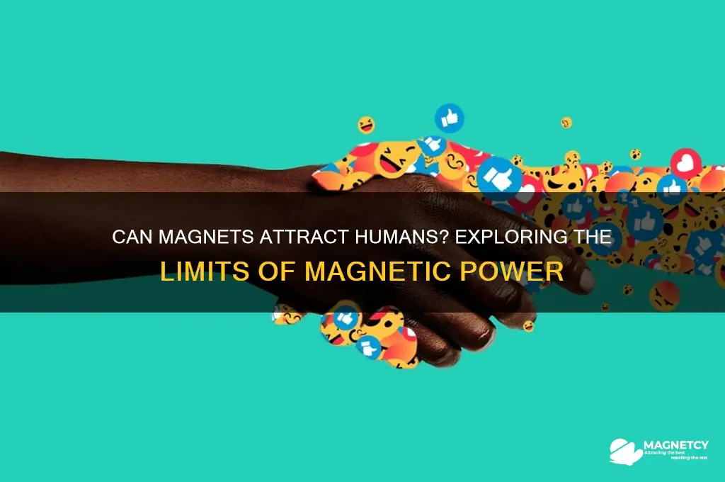 can a powerful enough magnet attract humans
