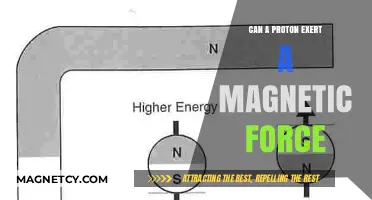Can Protons Generate Magnetic Forces? Exploring Subatomic Interactions