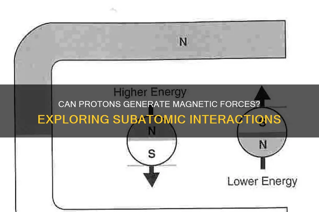 can a proton exert a magnetic force