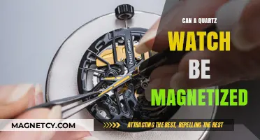 Can Quartz Watches Be Magnetized? Debunking Myths and Facts