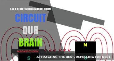 Strong Magnets and Brain Function: Unraveling the Short Circuit Myth