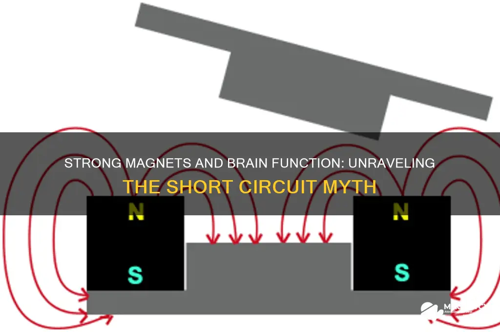 can a really strong magnet short circuit our brain
