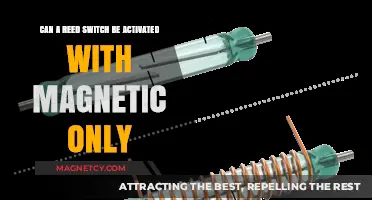 Reed Switch Activation: Magnetic Fields Only or More Required?