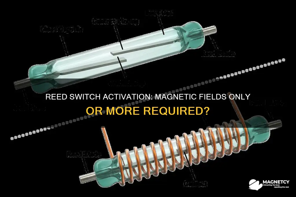 can a reed switch be activated with magnetic only