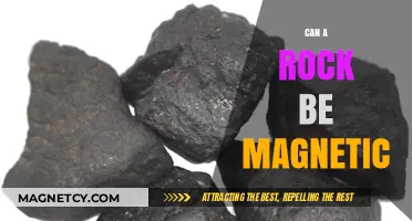 Can Rocks Be Magnetic? Unveiling Earth's Magnetic Mineral Secrets