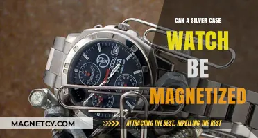 Can Silver Case Watches Be Magnetized? Facts and Prevention Tips