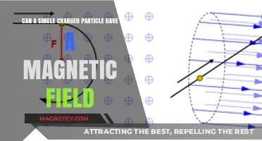 Can a Single Charged Particle Generate a Magnetic Field?