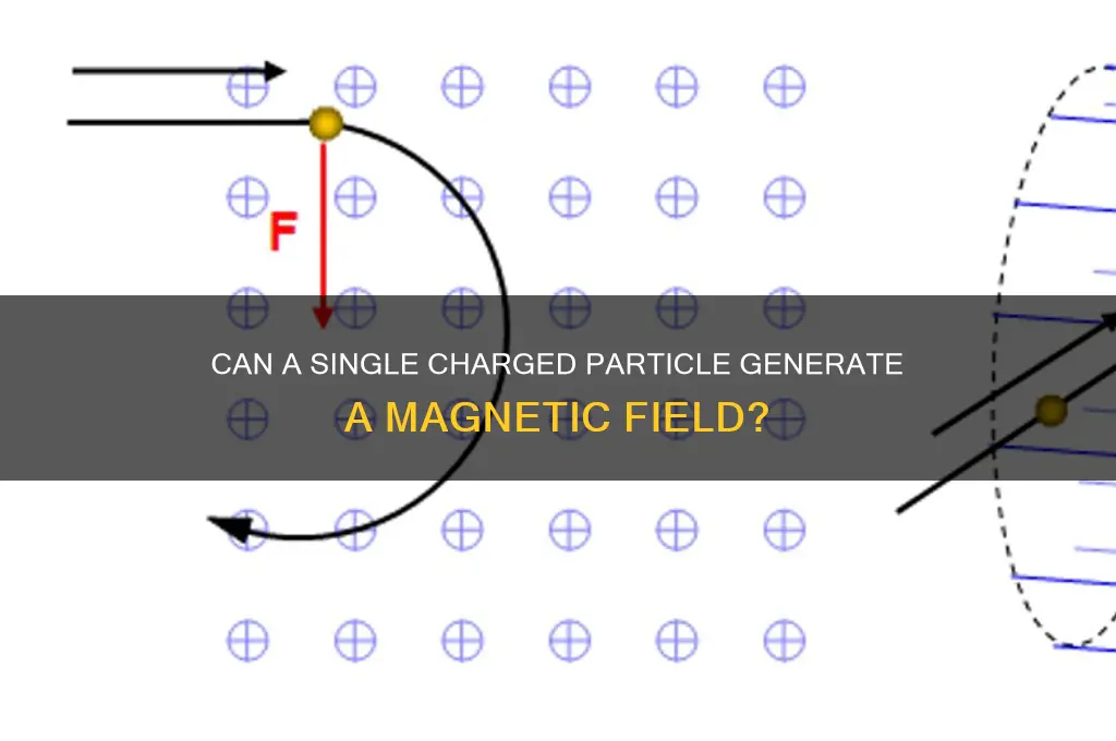 can a single charged particle have a magnetic field