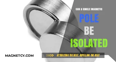 Can a Single Magnetic Pole Exist in Isolation?