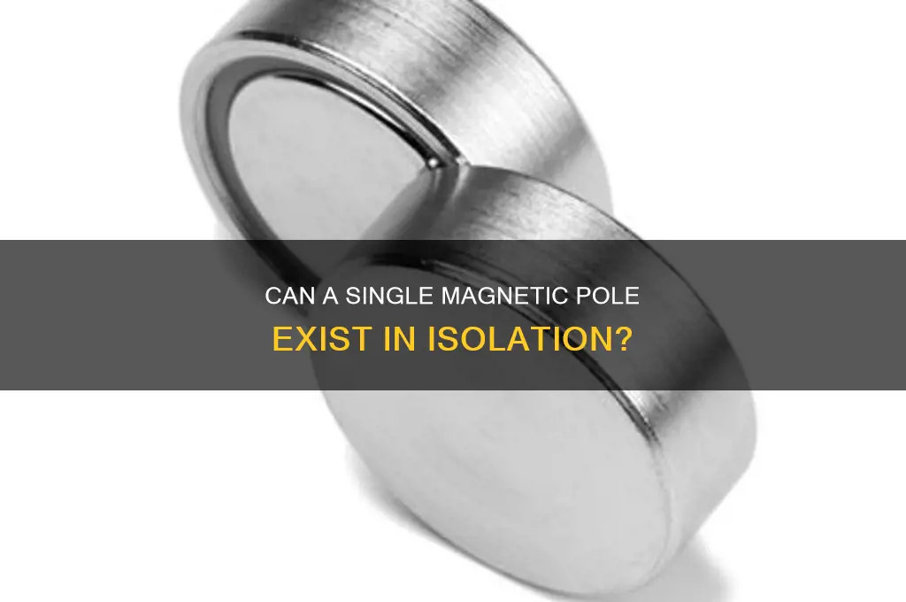 can a single magnetic pole be isolated