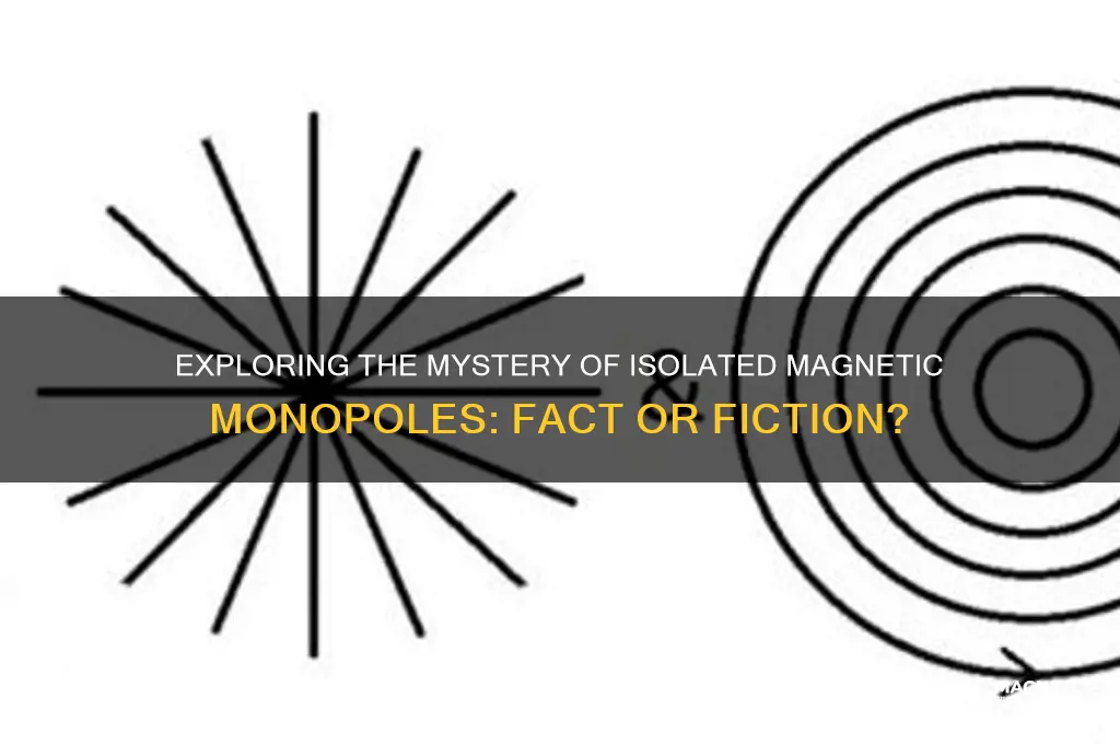can a single magnetic pole exist by itself
