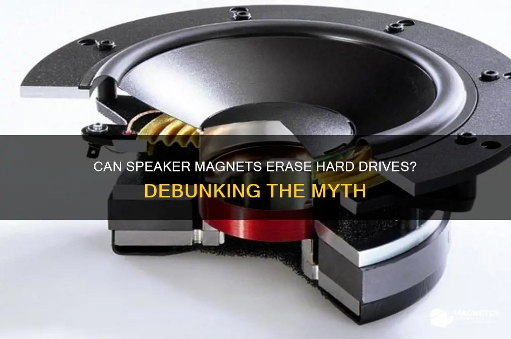 can a speaker magnet erase a hard drive