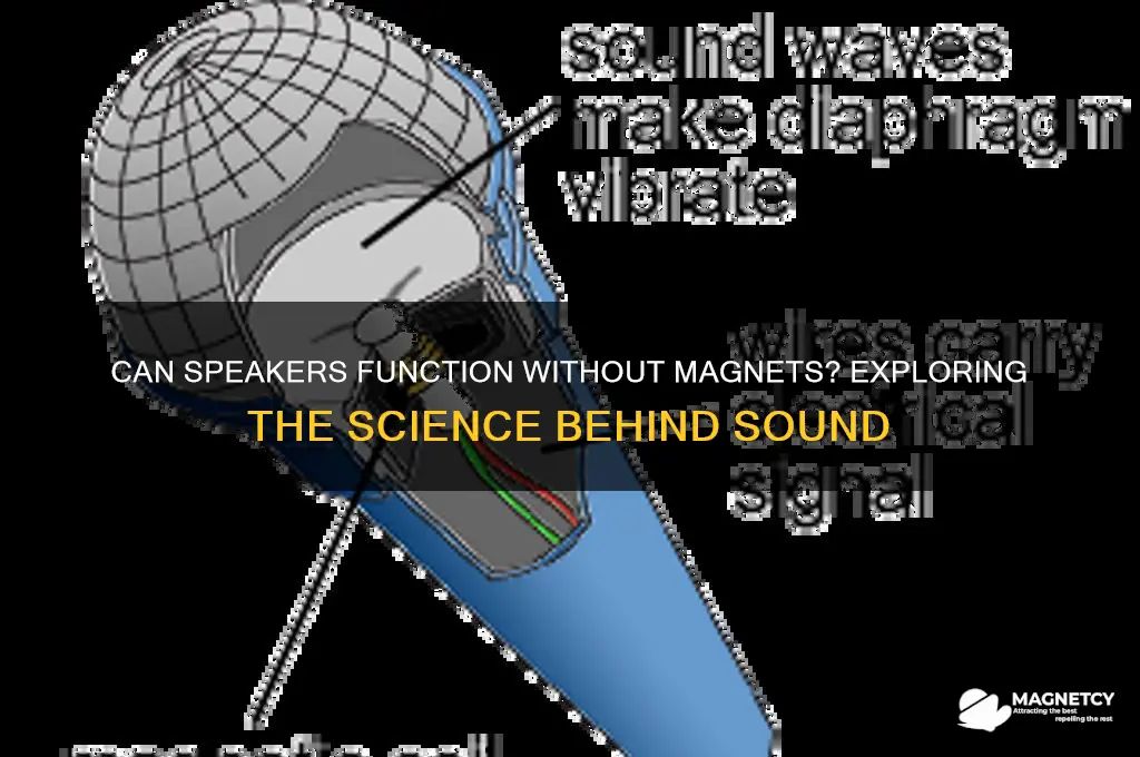 can a speaker work without a magnet
