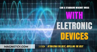 Can Standard Magnets Interfere with Your Electronic Devices? Find Out!