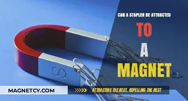 Can a Stapler Stick to Magnets? Unraveling the Metal Mystery