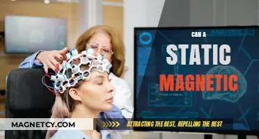 Can Static Magnets Heal? Exploring Science Behind Magnetic Therapy Claims
