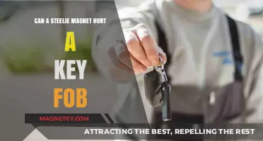 Can Steelie Magnets Damage Your Key Fob? Important Facts Revealed