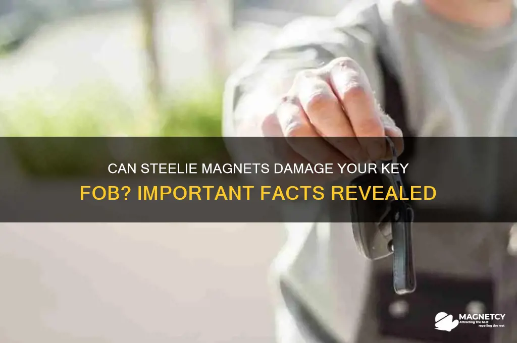 can a steelie magnet hurt a key fob