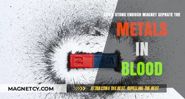 Can Powerful Magnets Extract Metals from Human Blood?