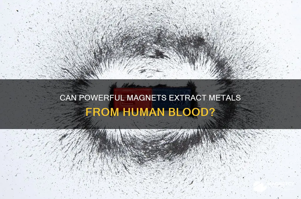 can a stong enough magnet seprate the metals in blood
