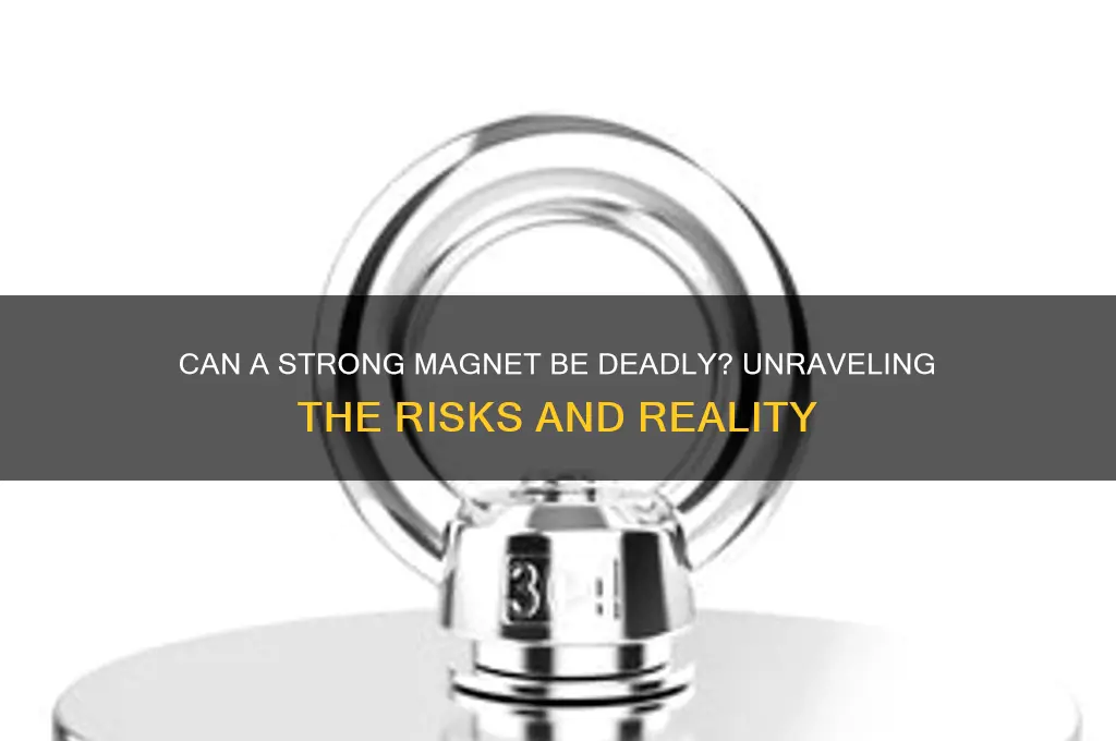 can a string enough magnet kill you