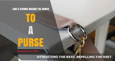 Can Strong Magnets Safely Enhance Your Purse's Functionality?