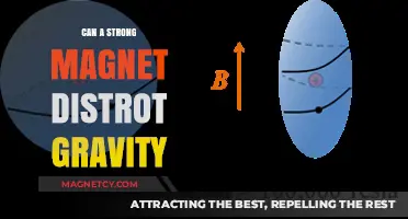 Strong Magnets and Gravity: Unraveling the Myth of Distortion
