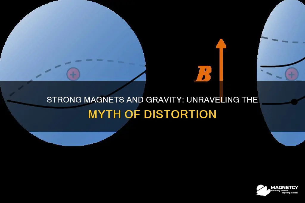 can a strong magnet distrot gravity
