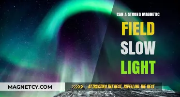 Magnetic Fields and Light: Can Strong Fields Slow Photons?