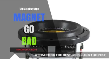 Can Subwoofer Magnets Deteriorate Over Time? A Comprehensive Guide