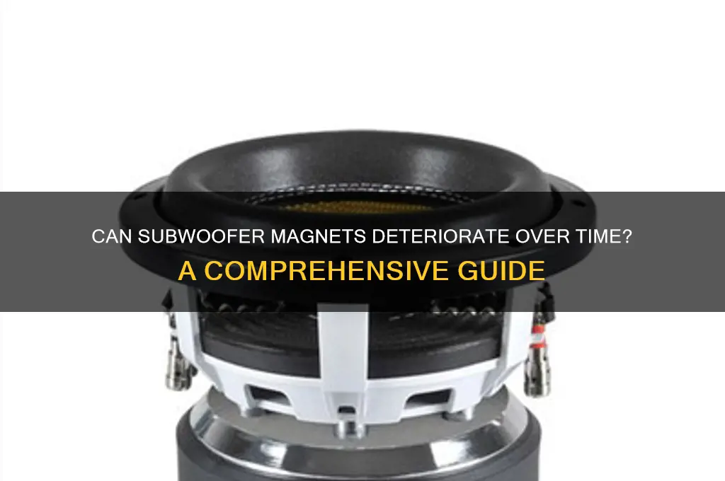 can a subwoofer magnet go bad