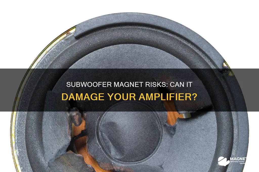 can a subwoofer magnet harm the amplifier