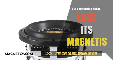 Can Subwoofer Magnets Lose Magnetism? Understanding Longevity and Factors