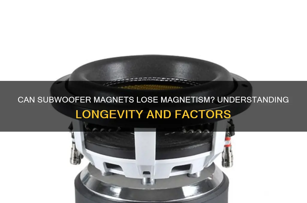 can a subwoofer magnet lose its magnetism