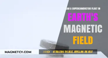 Superconductors and Earth's Magnetic Field: Can They Float?