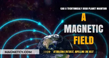 Can a Geologically Dead Planet Sustain a Magnetic Field?
