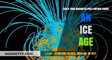 Magnetic Pole Reversal: Could It Trigger the Next Ice Age?