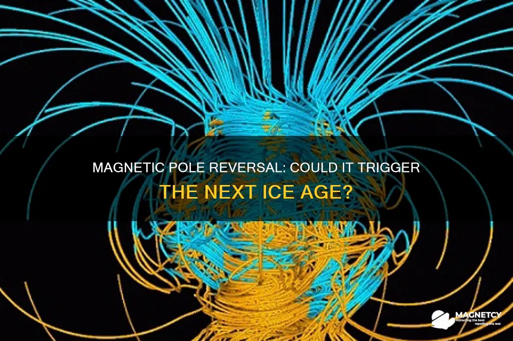 can a true magnetic pole swtich cause an ice age