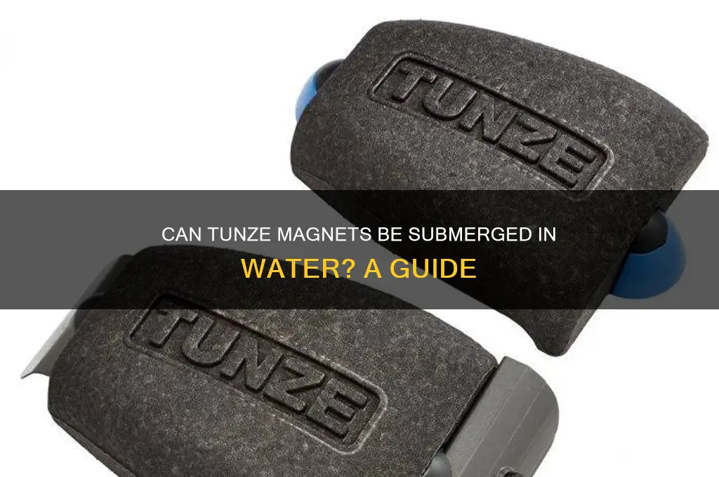 can a tunze magnet be submerged in water